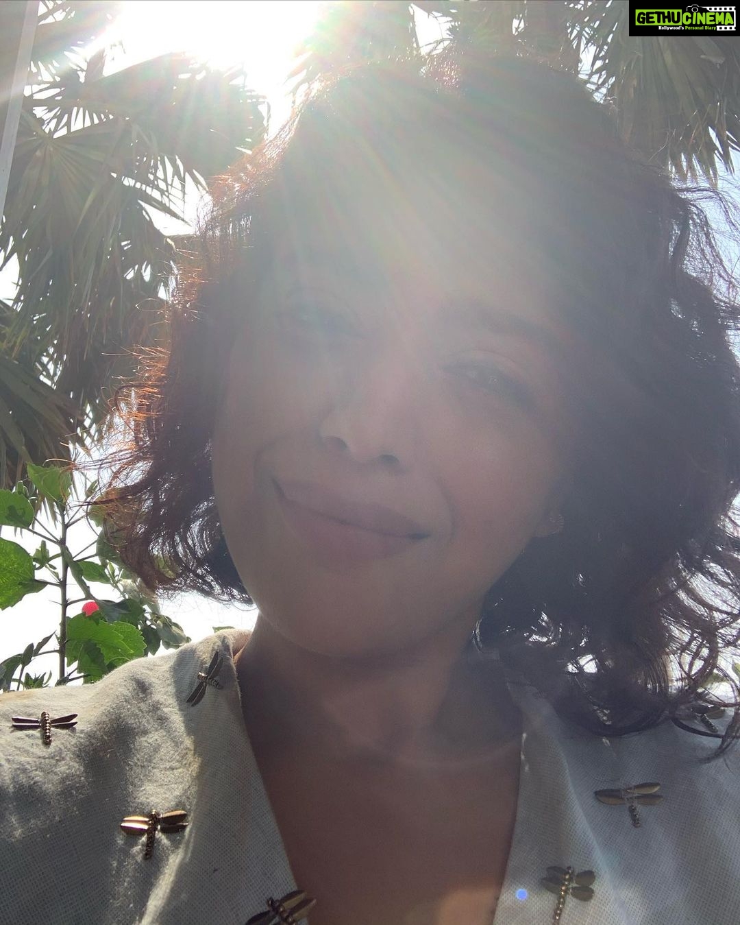 Swara Bhaskar Instagram - #lockdown but #sunkissed Grateful for the #brightside and the privilege of a home, a safe place and enough supplies! #gratitudeeveryday 💖 Mumbai, Maharashtra