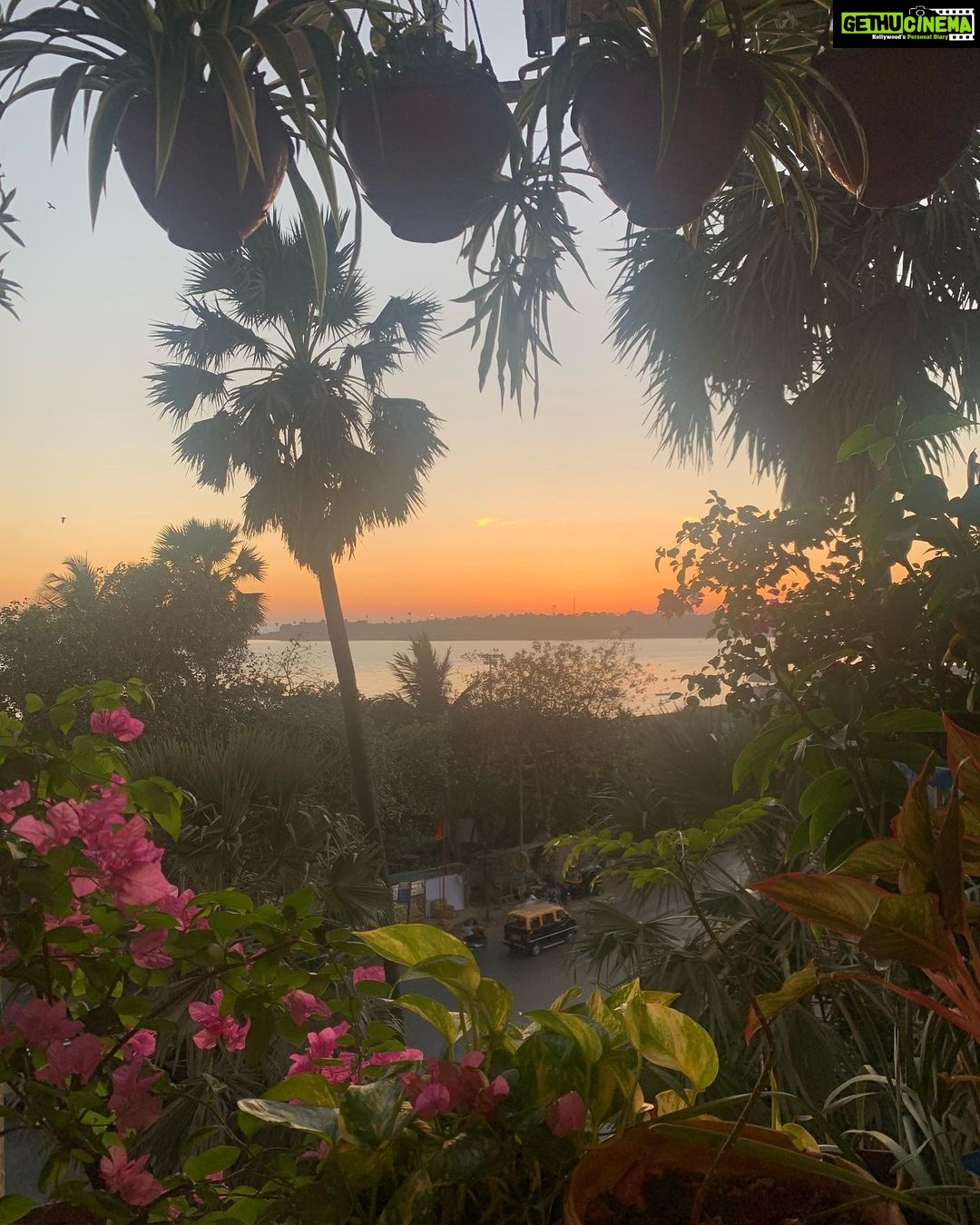 Swara Bhaskar Instagram - Grateful everyday to be able to look at this view while I self isolate. Let us acknowledge the privilege we have to be able to be able do this in comfortable homes with enough resources and means to get by. Hoping this too shall pass but also taking the moments to #countmyblessings ! Stay safe peeps ♥️ #gratitude #corona #covid_19 #isolation Mumbai, Maharashtra