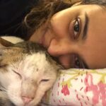 Swara Bhaskar Instagram - #RIPAtomTheCat Atom You are an asshole to have died in a stupid and unnecessary way. I’m so angry with you. I hope you are happy that you went doing what you loved doing- having gruesome cat fights! You were a rogue but you were my rogue.. Rest in peace you stupid chut.