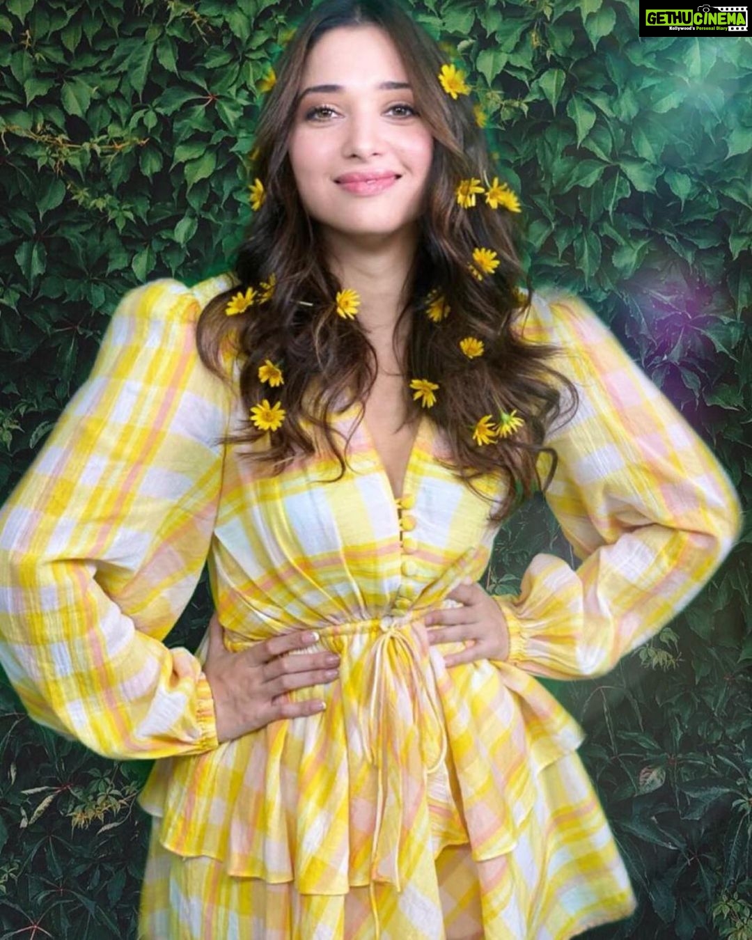 Tamannaah Instagram - She looked daisy safe, but smelled rose wild. -Wyatt Just fell in love with this dress by @pinkporcupines @eshaamiin1 @billymanik81 @tinamukharjee @amandacarvalhoofficial