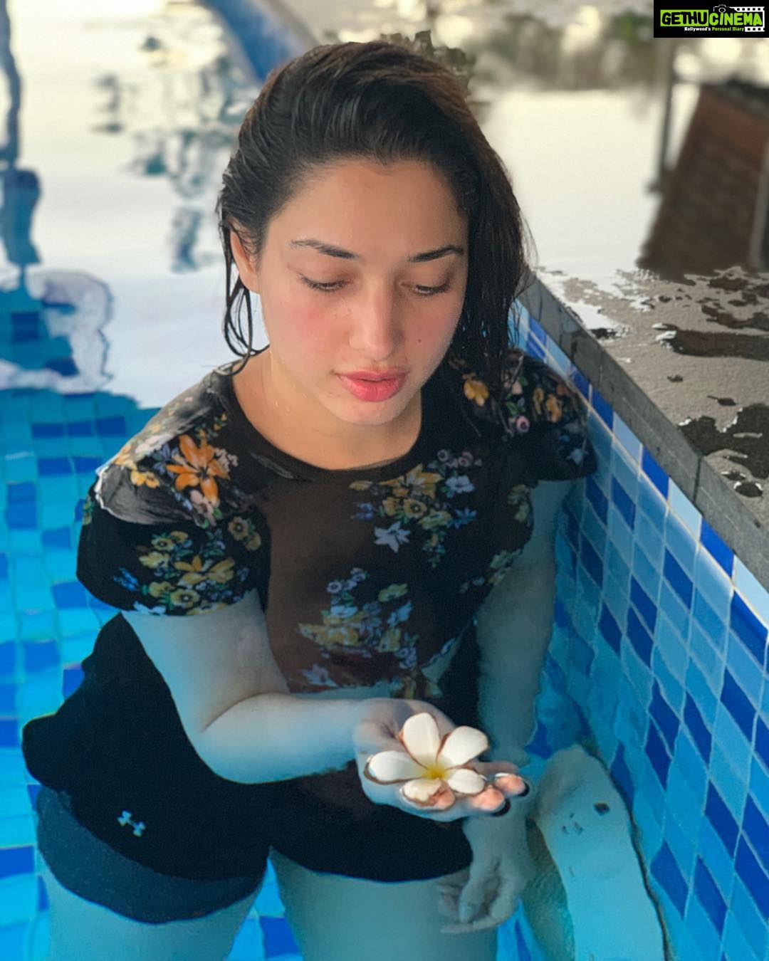 Tamannaah Instagram - It’s the sweet simple things in life which are the real ones after all - Laura Ingalls Wilder