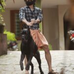 Tovino Thomas Instagram – BLACKIE going out of control !!! 
#flyingdog #kala 
#4daystogo 
📸 @ameer_mango