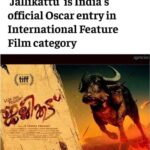 Tovino Thomas Instagram – 🤩congratulations to the whole team !!!! @lijo_lebowski @girishgangadharan @chembanvinod @antony_varghese_pepe @santhybee #jallikattu #oscar