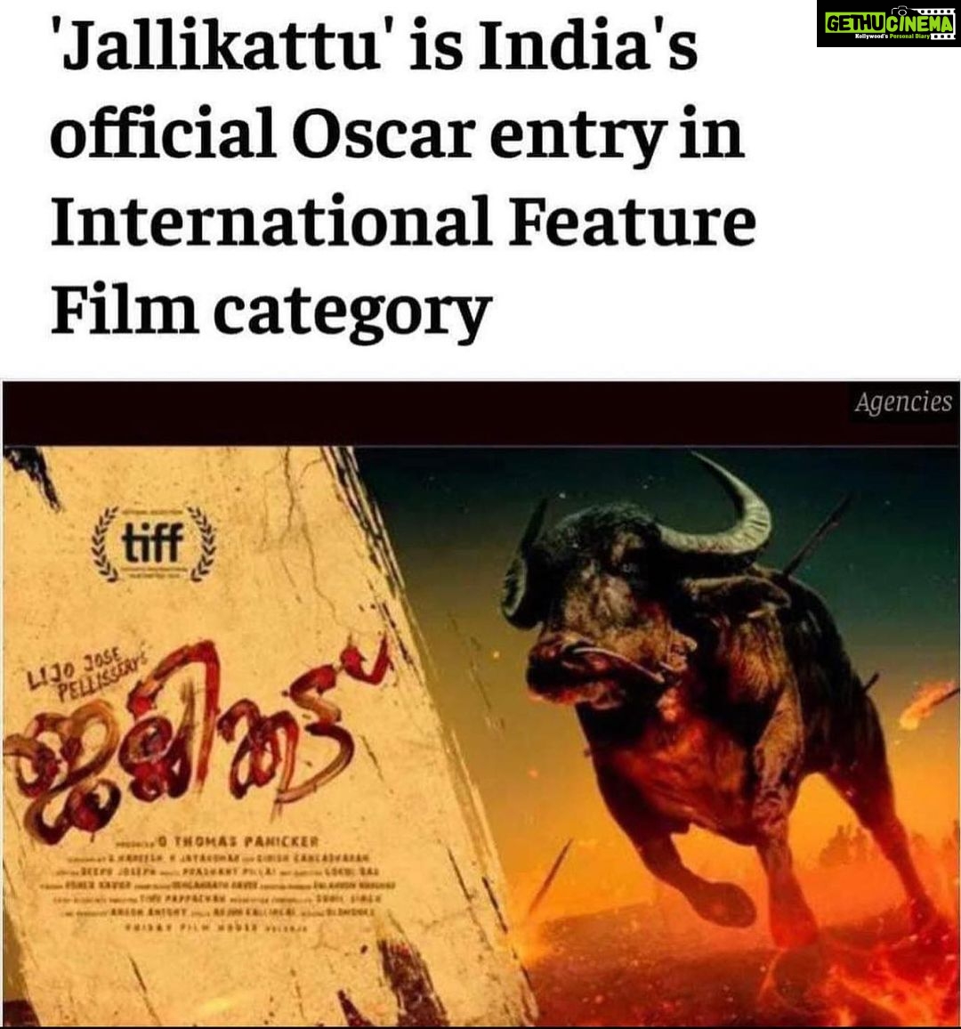 Tovino Thomas Instagram - 🤩congratulations to the whole team !!!! @lijo_lebowski @girishgangadharan @chembanvinod @antony_varghese_pepe @santhybee #jallikattu #oscar