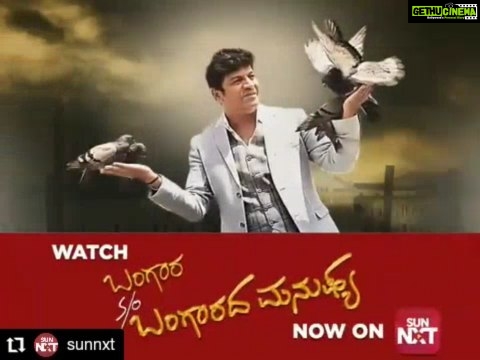 Vidhya Instagram - #Repost @sunnxt ••••••••• My kannada movie "Bangara s/o Bangaradha Manushya" with Kannada superstar Shivrajkumar sir is now available on SunNXT ☺️☺️ • • • • • • #BangaraSonOfBangaradhaManushya a film which talks about the immediate social values now on #SunNXT #ShivaRajkumar #VidyaPradeep #MoviesOnSunNXT