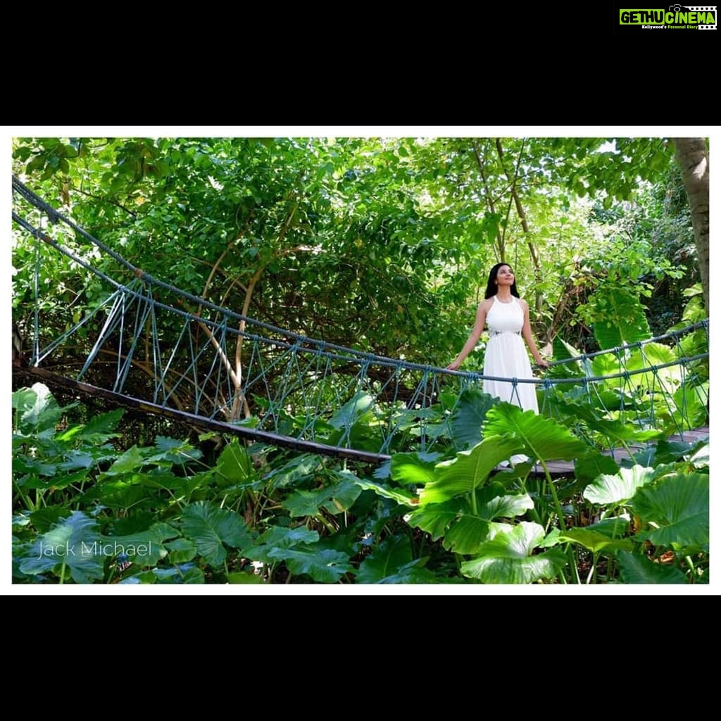 Vidhya Instagram - "Adopt the pace of nature: her secret is patience."-Ralph Waldo Emerson ☺️ #nature Photography: @jack.michael.1