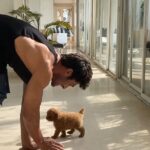 Vidyut Jammwal Instagram – Training him to walk with happiness.