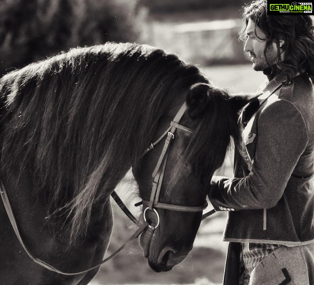 Vidyut Jammwal Instagram - The horse had a bad day at work.. Just gave him some love and here he was rubbing his head on my chest..