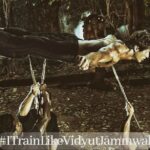 Vidyut Jammwal Instagram – Your Black Belt has an Expiry date:
The day you stop learning or Training.. #kalaripayattu 
#ITrainlikeVidyutJammwal 
#countryboy