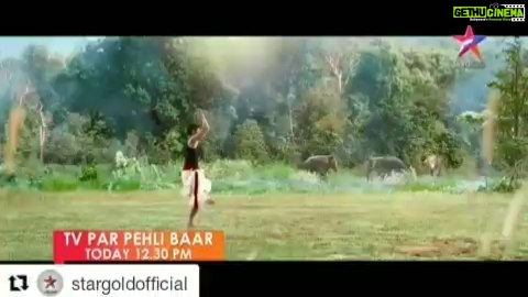 Vidyut Jammwal Instagram - #Repost @stargoldofficial (@get_repost) ・・・ Jungle ke Rakshak ka Calm Mind is his most lethal weapon. Watch #JungleeOnStarGold today at 12:30 PM to see this animal lover in action! @jungleepictures @jungleemovie @asha.bhat @iampoojasawant #ChuckRussell