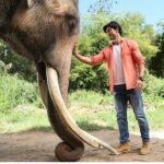 Vidyut Jammwal Instagram - BHOLA thankyou for your part in my journey.. #junglee #jamwalions #welovevidyutjammwal #vidyutsmaniac #itrainlikevidyutjammwal STILL RUNNING STRONG IN THEATERS..witness our friendship