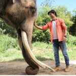 Vidyut Jammwal Instagram – BHOLA thankyou for your part in my journey.. #junglee #jamwalions #welovevidyutjammwal #vidyutsmaniac #itrainlikevidyutjammwal STILL RUNNING STRONG IN THEATERS..witness our friendship