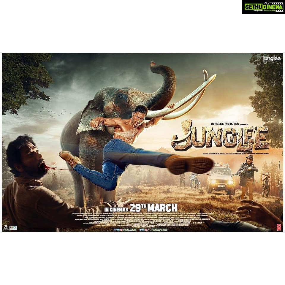 Vidyut Jammwal Instagram - When the jungle rises, nothing can stand in it's way. Join us in our journey to justice and in celebrating true blue friendship with #Junglee on #March29 π @jungleepictures @jungleemovie #ChuckRussell #IAmEnough #Kalaripayattu @iampoojasawant @asha.bhat