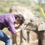 Vidyut Jammwal Instagram - Happy being #JUNGLEE...TRAILER ON 28th feb 19