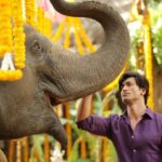 Vidyut Jammwal Instagram – We will go completely #Junglee at the theatres with the release of our film @JungleeMovie on 5th April 2019… Come and join the madness at a theatre near you… #BornJunglee #ReleaseDate #april5 @jungleepictures