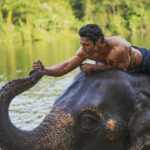 Vidyut Jammwal Instagram - I've always been an animal lover but after shooting for #Junglee, I am mesmerized by the mighty elephants! On #WorldEnvironmentDay, I promise to take care of these stunning creatures for life!