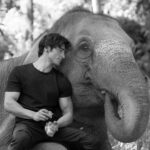 Vidyut Jammwal Instagram – look into the eyes of any animal, if you see a living being a friend and a free soul… Then converse!!THEY WILL RESPOND.. go try it !!! #junglee  #BORNJUNGLEE  #bejunglee