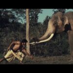 Vidyut Jammwal Instagram – Salutation to Lord Ganesha! 
#WorldElephantDay