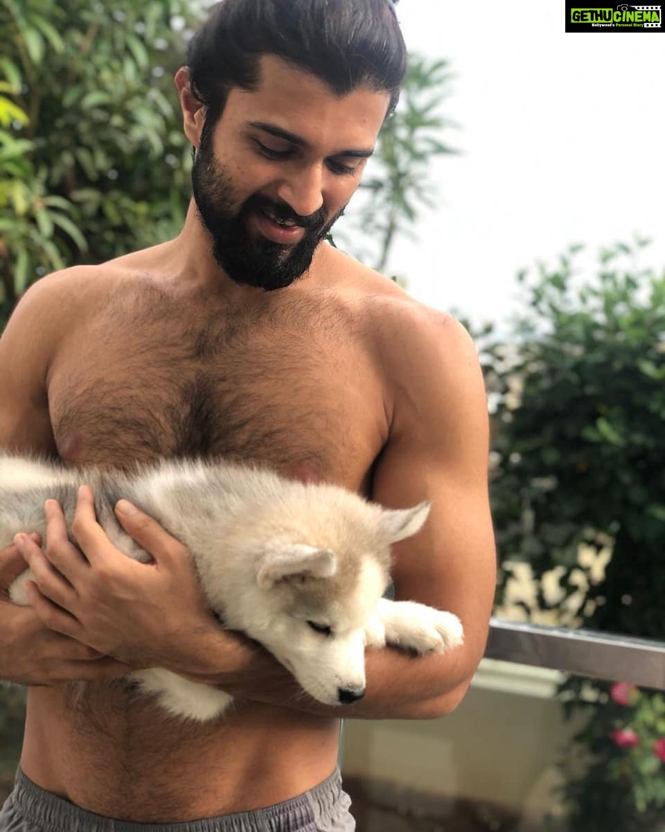 Vijay Deverakonda - 2.5 Million Likes - My Cute Beast ❤️