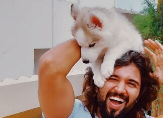Vijay Deverakonda Instagram - Introducing Storm Deverakonda ❤️