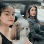 Yaashika Aanand Instagram - Can u guess where are we going ? 🤔 Ft @tequila_anand_ @osheen._.anand . #reels #reelsinstagram #reelitfeelit #reelvideo #tequila #yashika #yashikaaannand #explore #trendingnow #trend #dogsofinstagram #puppylove