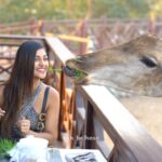 Yaashika Aanand Instagram – Thankyou @sb_belhasa for this lovely day !!! Had great time with these beautiful animals 😍 thanks for your great hospitality!! Had super-fun at @fame.park !! 🐻 🦁 🐍 🦒 

#dubai #famepark #belhasa #dubai🇦🇪 #duabilife #yashika #reels #animalsofinstagram #uae #visitdubai #dubaidiaries