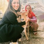 Yami Gautam Instagram - Meet 8-days old little ‘Gauri’, who is yet to get a name so I named her on my own ! Hugging ‘Gauri’ was such a heartwarming feeling. And such innocent local people who make the sweetest hosts & don’t think twice before offering tea just in exchange of a smile ❤️❤️❤️ #myhimachal #bhootpolicediaries Beautiful moment 📷 @flavienheldt Palampur