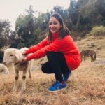 Yami Gautam Instagram – प्यारा भेड़ूँ 🐏  #himachalstories #myoranangeseries 🧡