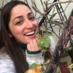 Yami Gautam Instagram - My happy place needs no filter , n me in no make-up😋 #home #winters #chandigarh 💕