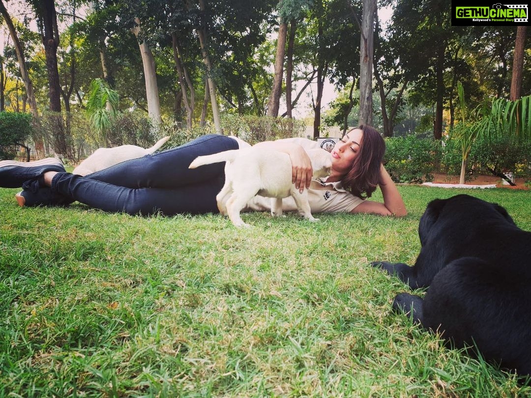 Yami Gautam Instagram - If only each day was like THIS DAY 🐶❤️