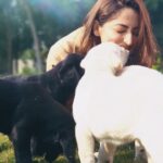 Yami Gautam Instagram – Paw-dorable 🐾