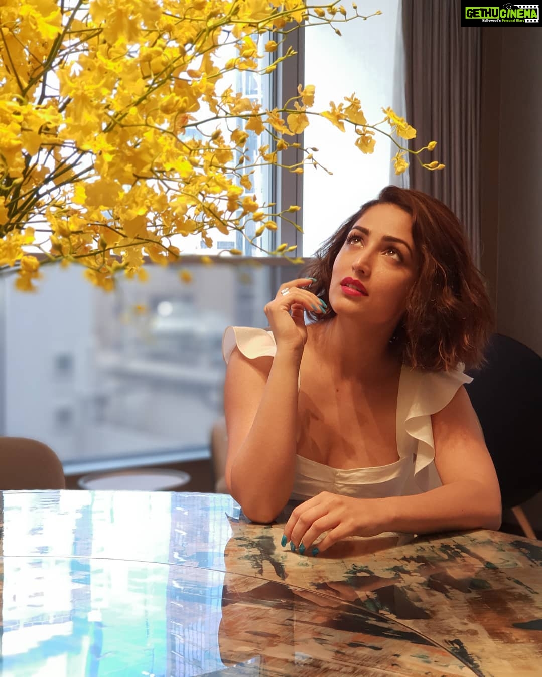 Yami Gautam Instagram - A flower cannot blossom without sunshine πΈππ° Hair and make up by @loveleen_ramchandani Pic by @mann012 @discoverhongkong #TravelTales #YamiInHongKong Hong Kong