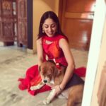 Yami Gautam Instagram - Thank you @thatdogintuxedo ... I loved my Diwali Present💖🐶 #PoloInABow #IlovePresentsToo #WoofWoof