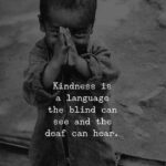 Yuthan Balaji Instagram - Be kindness ✌ #staypositivewithyuthan