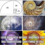 Yuthan Balaji Instagram - WE ARE NATURE. ❤️❤️😘 Featured in these pictures the golden ratio and the Fibonacci sequence #meditation #quotesoftheday #instaquote #onelove #consciousness #goodvibes #awakening #quote #natural #starseed #positivevibes #science #naturelovers #golden #namaste #meditate #love #grateful #gratitude #spiritual #spirituality #naturelover #thirdeye #mindfulness #positivethinking #ascension #loveislove #awareness #scorpio