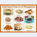 Yuthan Balaji Instagram - #Plant based #Sources of #Phosphorus #gym #diet #health #fit #fitness #Food #Nutrition