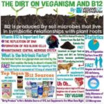 Yuthan Balaji Instagram - The #Dirt on #Veganism and #B12 #gym #diet #health #fit #fitness #Nutrition
