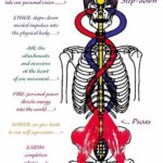 Yuthan Balaji Instagram – Theomorphic step-down of energy // The chakras parallel the planes of creation.
The body personifies the process of creation.
The Psoas is the only ‘muscle’ to connect the spine to the legs.  It is responsible for holding us upright, and allows us to lift our legs in order to walk. A healthily functioning psoas stabilizes the spine and provides support through the trunk, forming a shelf for the vital organs of the abdominal core.
The psoas is connected to the diaphragm through connective tissue or fascia which affects both our breath and fear reflex. This is because the psoas is directly linked to the reptilian brain, the most ancient interior part of the brain stem and spinal cord.  As Koch writes “Long before the spoken word or the organizing capacity of the cortex developed, the reptilian brain, known for its survival instincts, maintained our essential core functioning.”
#staypositivewithyuthan
•
#positivity #positivevibes #positivequotes #quotes #quoteoftheday #motivationalquotes #bepositive #motivated #motivation #positive #motivator #scorpio #spirituality #awakening