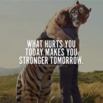 Yuthan Balaji Instagram - Your struggles prepare you for your future. When you have to face something similar or the same again you will be a wiser and stronger person than you were before and know what you must do in order to get through it. #staypositivewithyuthan • #positivity #positivevibes #positivequotes #quotes #quoteoftheday #motivationalquotes #bepositive #motivated #motivation #positive #motivator #scorpio #spirituality #awakening