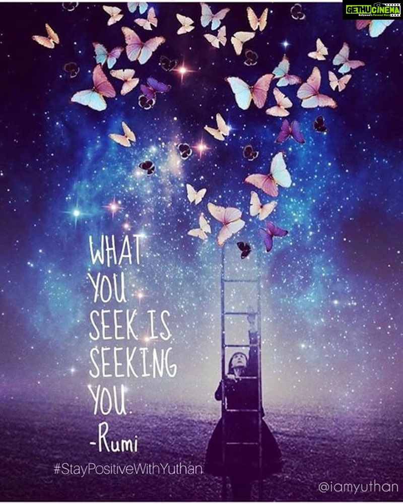 Yuthan Balaji Instagram - Be the person you’ve been searching for your entire life. What you seek and focus your thoughts and energy on are being vibrationally pulled towards us. We attract what we are. #staypositivewithyuthan • #positivity #positivevibes #positivequotes #quotes #quoteoftheday #motivationalquotes #bepositive #motivated #motivation #positive #motivator #scorpio #spirituality #awakening