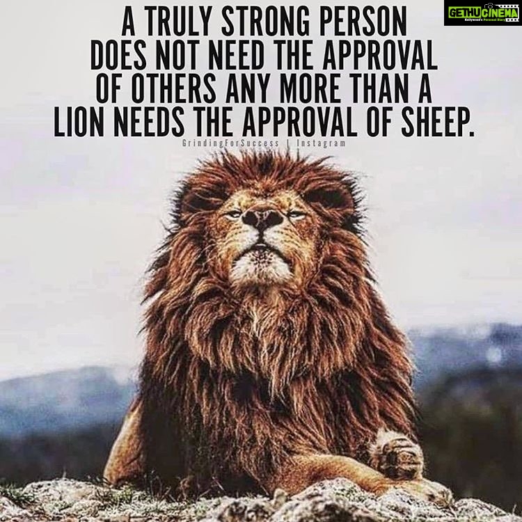 Yuthan Balaji Instagram - Taking control of your life starts by making your own decisions and taking responsibility for the results of those choices either good or bad. Not looking for someone or something to blame when the results turn out to be not what you expected. #staypositivewithyuthan • #positivity #positivevibes #positivequotes #quotes #quoteoftheday #motivationalquotes #bepositive #motivated #motivation #positive #motivator #scorpio #spirituality #awakening