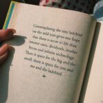 Zaira Wasim Instagram - A Little Book Of Happiness