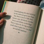 Zaira Wasim Instagram – A Little Book Of Happiness