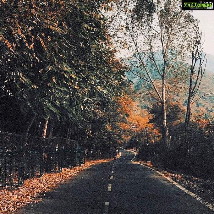 Zaira Wasim - 47.5K Likes - To all the roads you planned on travelling but couldn’t, maybe they were just not meant for you.
Trust that there’s always a better one for you, a journey that you haven’t started, a destination you are yet to arrive at.
Keep walking; one step at a time.