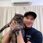 Aaron Aziz Instagram - Assalamualaikum siapa sini ada kucing?? Zeusina, Nile, Putri, Sabre, Jewel, Peanut and Oreo semua mmg kesayangan Abg. I have 7 cats! There’s no way I will trade them with anything else. Org yg sayang kucing aje akan faham. Jaga kucing ni not an easy task. Bulu kucing jgn cakap la. Tapi sayang punya pasal kita sabar... lagi lagi like me yg sensitive! Tp kan sometimes, with all that fur allergy tu mmg menjadi. Tp nasib baik skrg Aaron dah ada nanoe technology aircond dari @mypanasonic. Senang nak menghalang segala allergen so say goodbye to all those sneezes! Now I’m sneeze-less with my new AirCon u all must consider this! Korang ada brape kucing??! Teka nama kucing ni! 😜 #PanasonicMY #AmazingNanoe #QualityAirWithPanasonic #nanoexinhibitscoronavirus