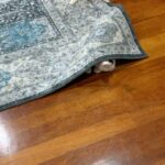 Aaron Aziz Instagram – #oreoaaronaziz main hide n seek dgn #Peanut Dia ingat orang tak nampak dia lah tu sorok bawah carpet…haih..kucing kucing… @aaronazizfamilycats  #AbgrasaOreoquarantinebawahcarpet #SambilhashtagniOreomasihbawahcarpet #AbgtaktahunakHashtagapalagi