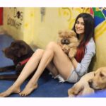 Adah Sharma Instagram - TAG a Bitch 🤓😃❣ , , , , , #100YearsOfAdahSharma #adahsharma #twinning #dogsofinstagram #bitchesofinstagram #twinninggoals
