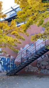 Aditi Chengappa Instagram - Autumn evenings 🍂☕️
.
.
.
#fall #fallvibes #berlin #espressohouse #cozy #autumnleaves #relax #chillvibes #berlinliebe #mitte #prenzlauerberg