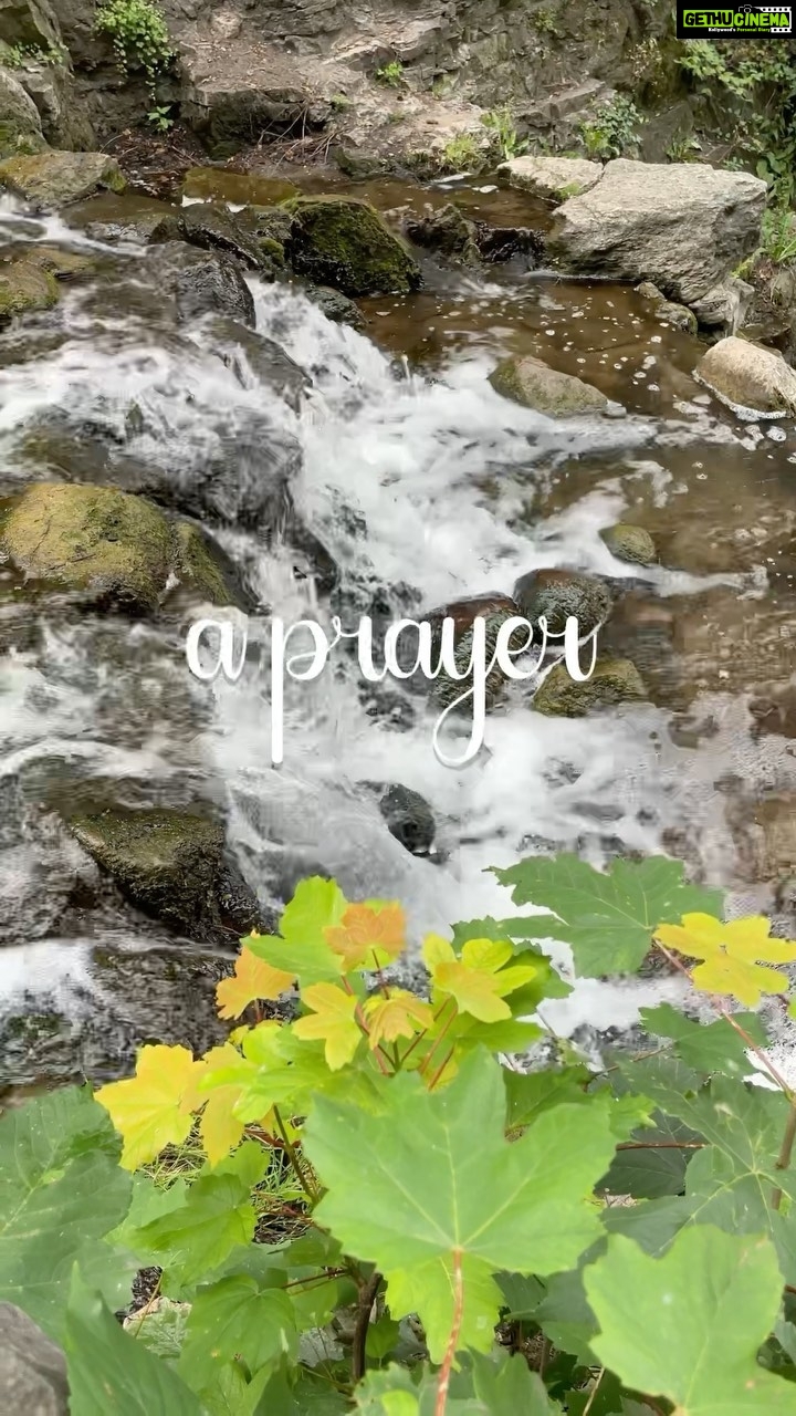 Aditi Chengappa Instagram - a prayer 🙏 . . . #prayer #trees #ilovetrees #pray #spring #springvibes #sprüche #wasserfall #forestphotography #forestwalk #forestlovers #reels #naturereels #travelreels #deutschland #soothing #viktoriapark #peaceful #meditation #prayers #berlinliebe #naturelovers #nature #naturephotography #naturevideo