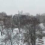 Aditi Chengappa Instagram - The first snow day⛄️ . . . #snowday #catreels #mitte #berlin #winterwonderland Berlin, Germany